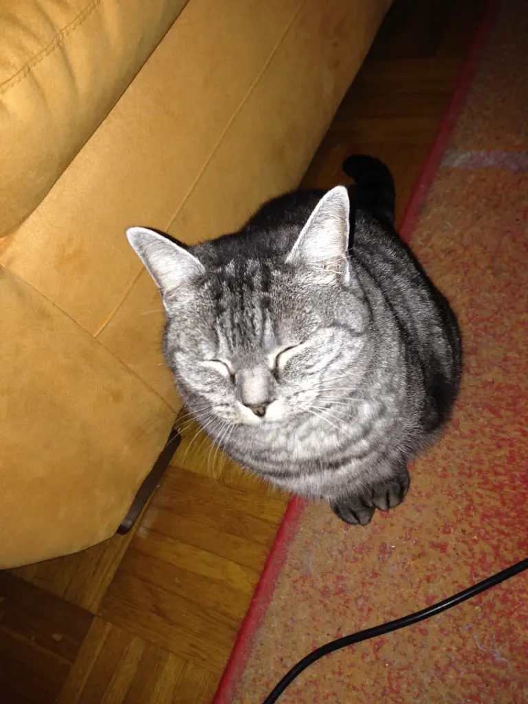 Image from Clara