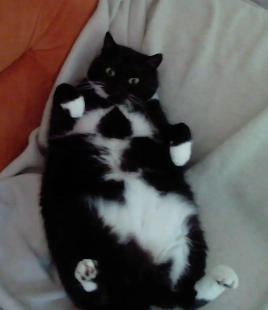 Andachtsbild von Jeanne - Marie