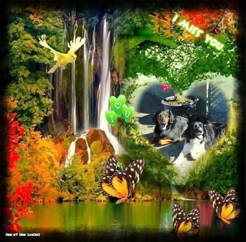 Andachtsbild von Brigitte mit Nelly, Benny und Axel im Herzen