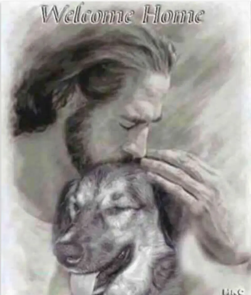 Condolence image of Uschi Meienbrock