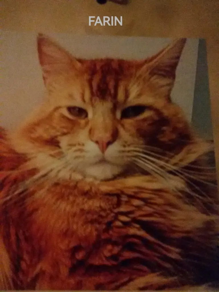 Condolence image of Papa u Mama