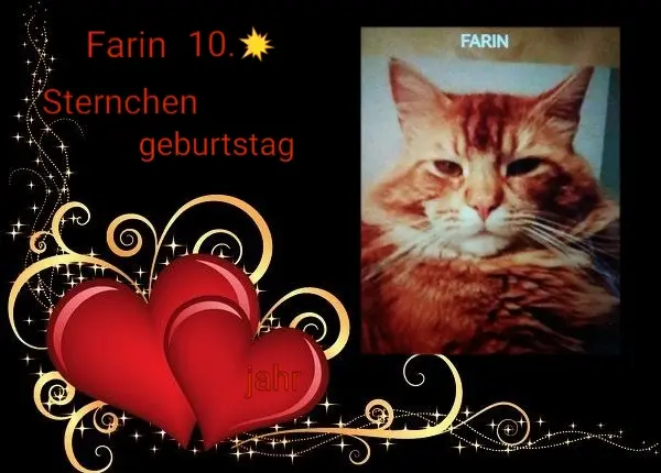 Condolence image of Farin ♥️10.⭐️Sternchenjahr