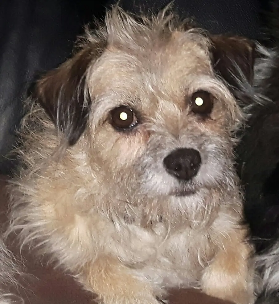 Image from Minnie