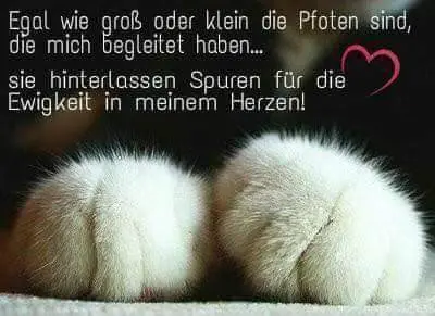 Andachtsbild von Eike und Edeltraud mit Mulle, Miezi und Jonny tief im Herzen