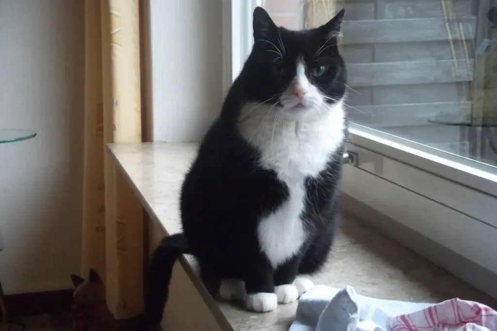Bild von Paul