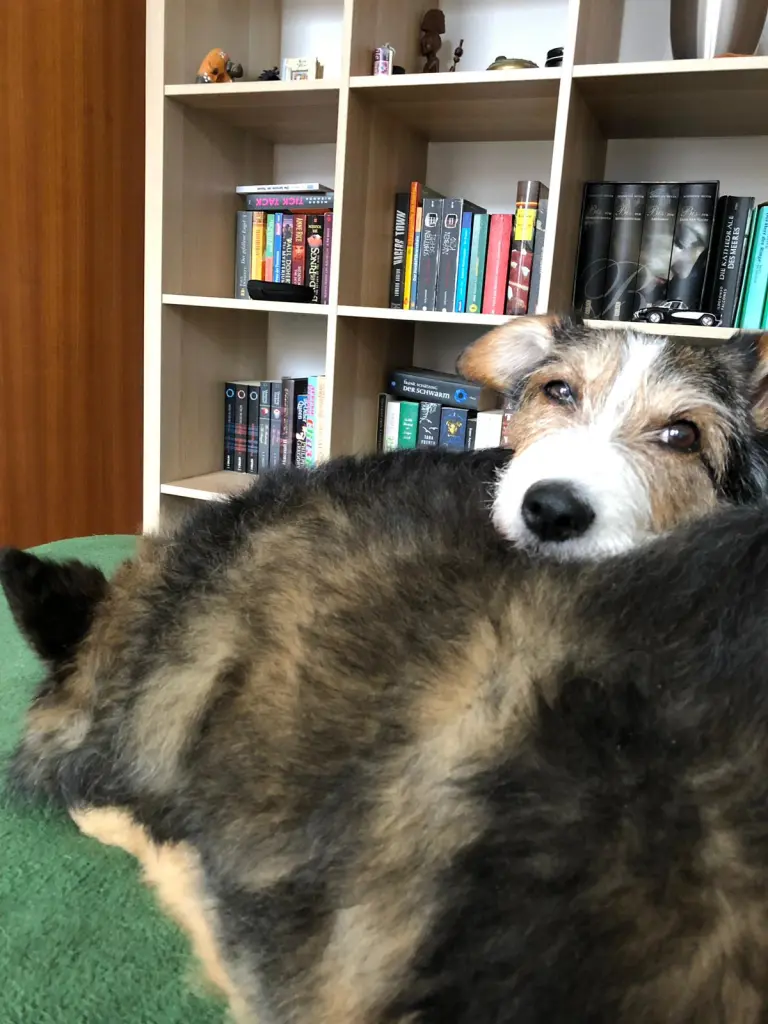 Andachtsbild von Katrin