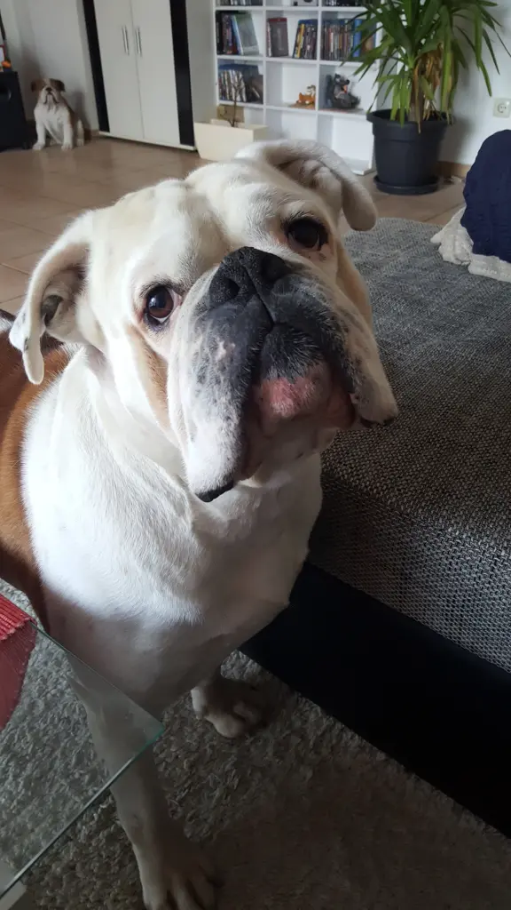 Andachtsbild von Sascha Merlin