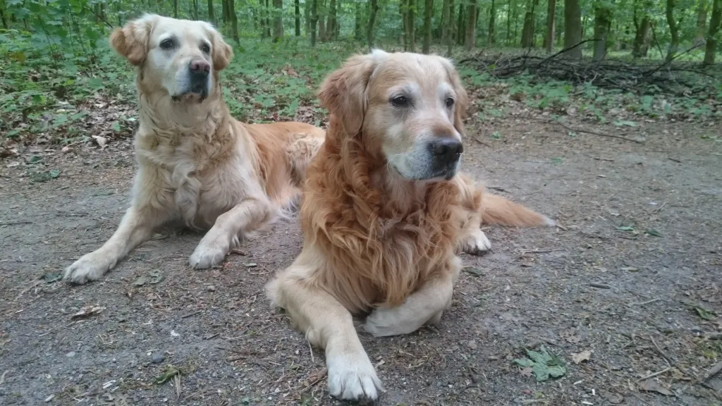 Andachtsbild von Cerstin