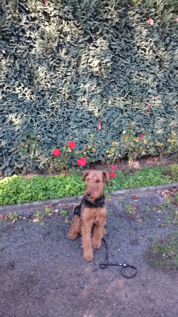 Andachtsbild von Hanna Schlingmann