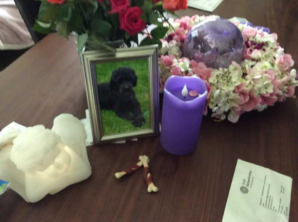 Condolence image of Heidi 