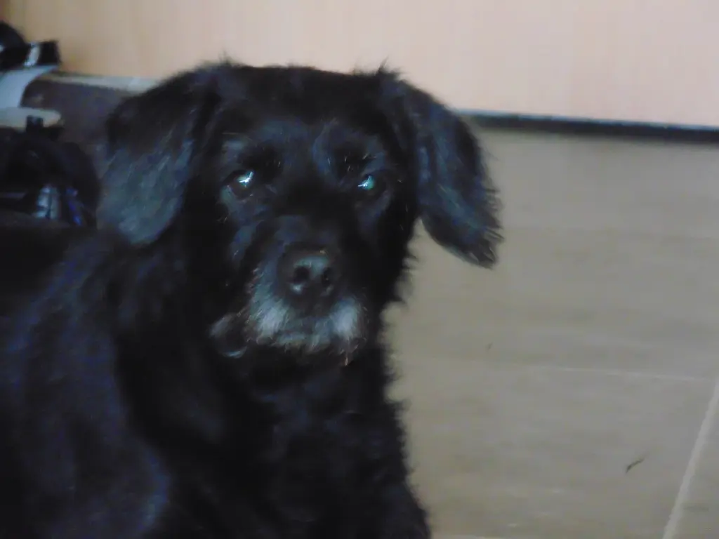 Condolence image of Für Bobby