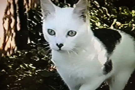 Andachtsbild von Klaus Langer