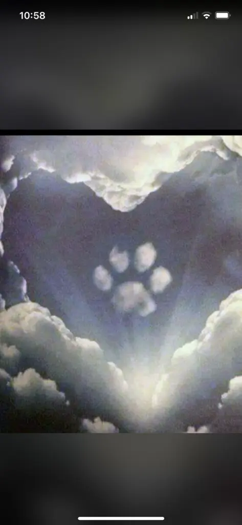 Condolence image of Für Paul ♥️