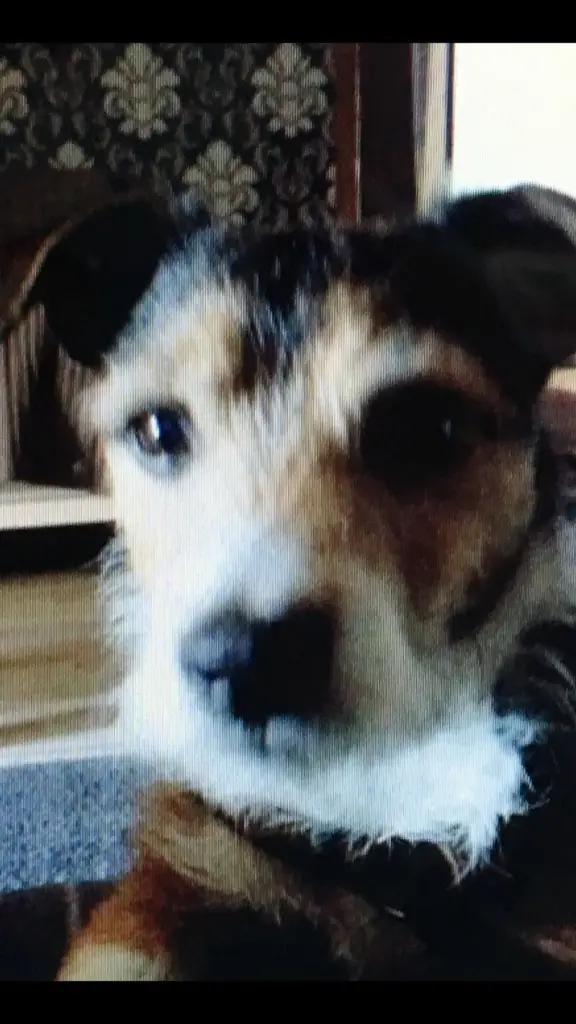 Condolence image of Für Paul ♥️♥️♥️