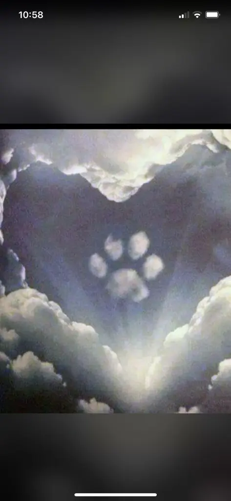 Condolence image of Für Paul ♥️