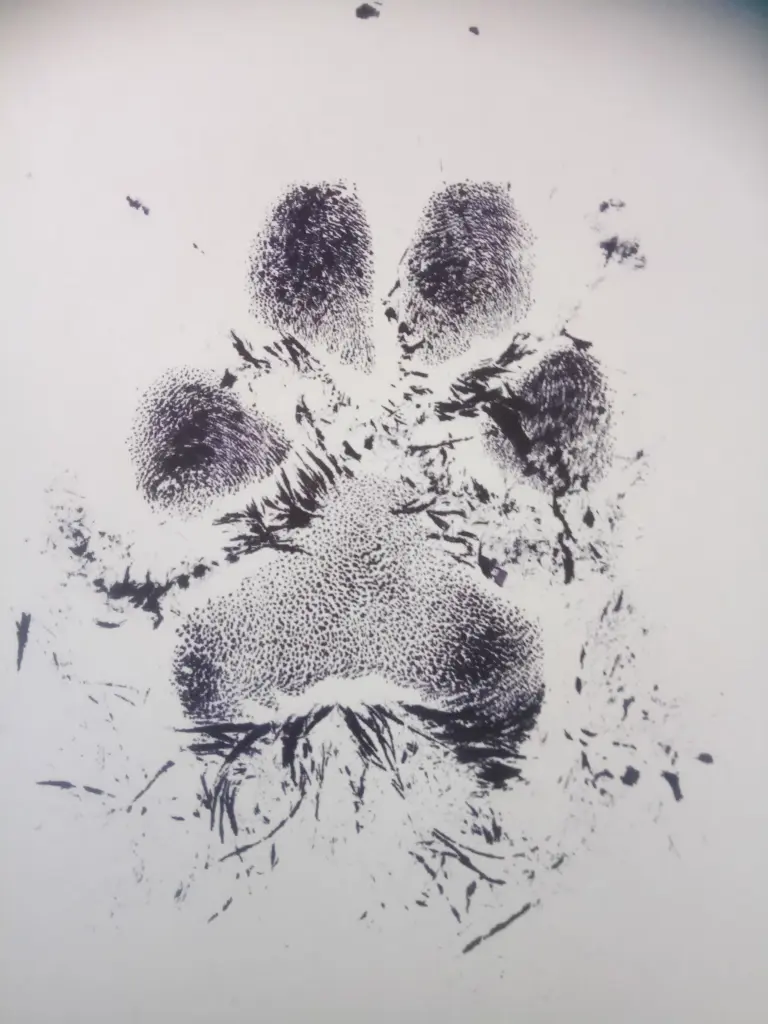 Condolence image of Christina Moos