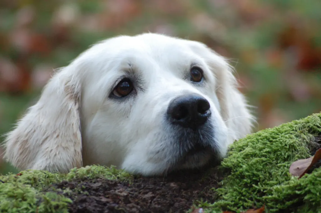 Bild von Jula