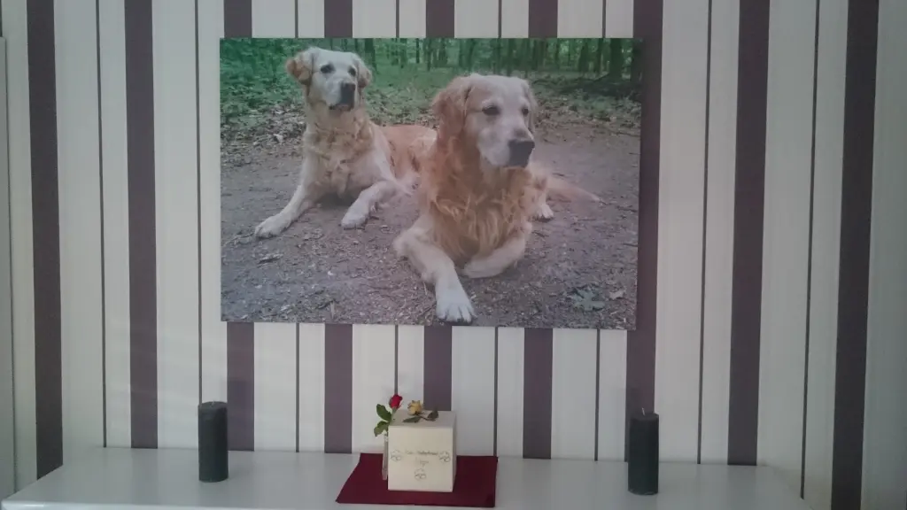 Condolence image of Cerstin mit Seelenfreund Ninjo im Herzen
