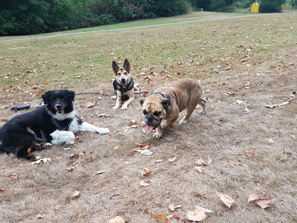 Andachtsbild von Katja Niedzwecki