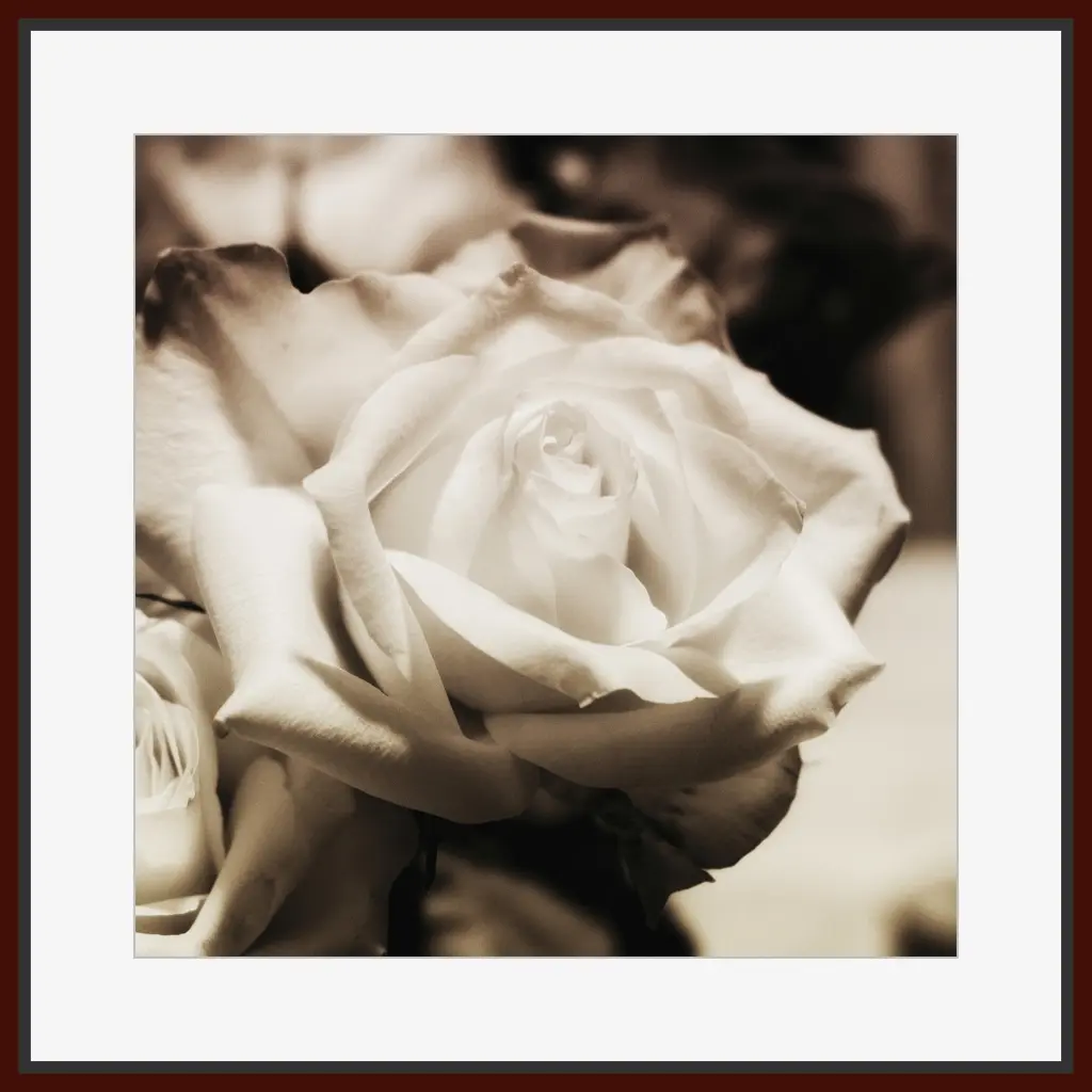 Condolence image of Bernhard