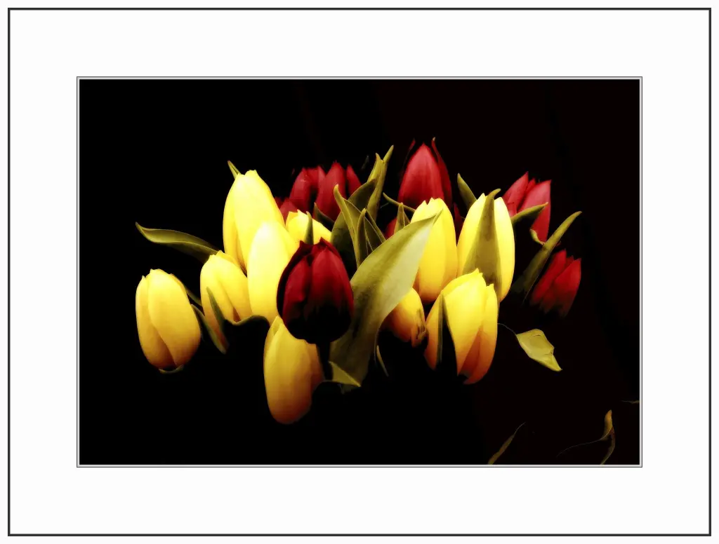 Condolence image of Bernhard und Patrizia
