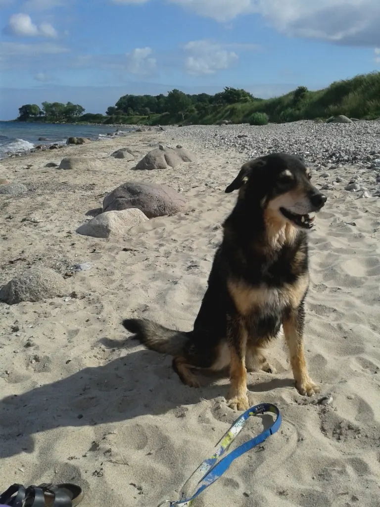 Image from Elmy "Puschelchen"...