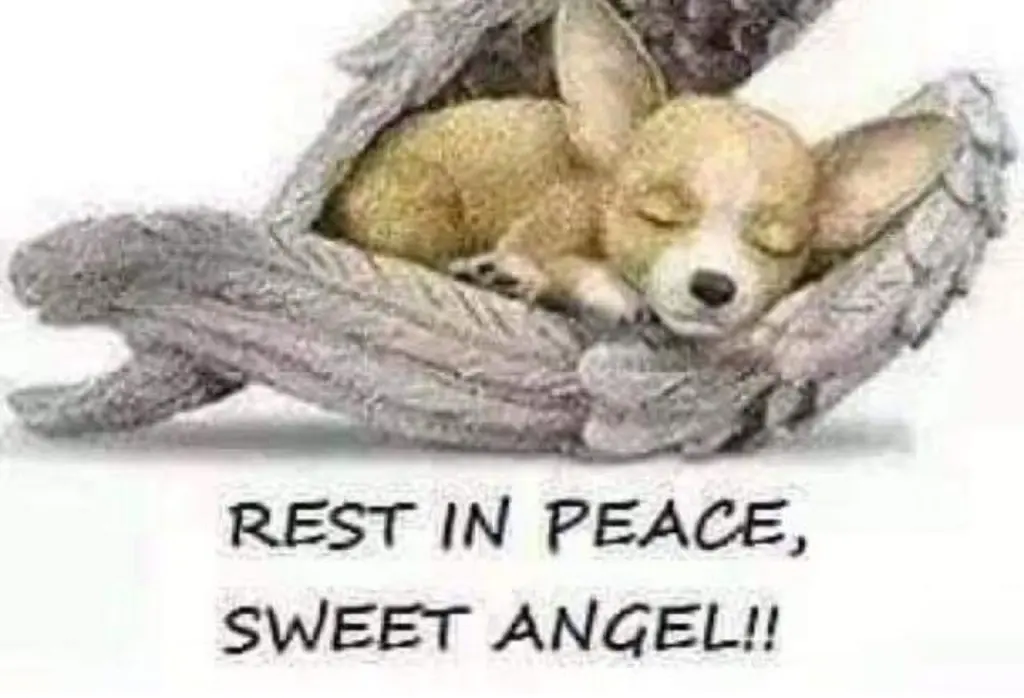 Condolence image of Monique -Rea Engel Rothenhöfer
