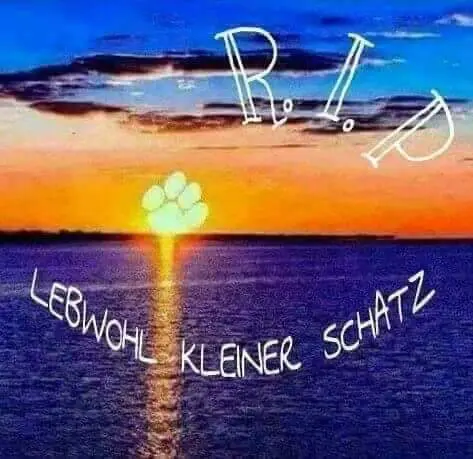 Condolence image of Heike