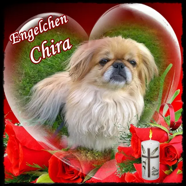 Andachtsbild von Annette