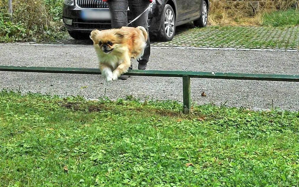 Andachtsbild von Annette