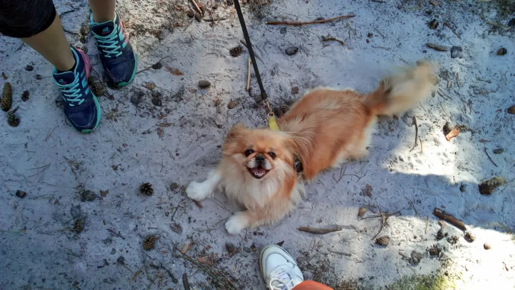 Andachtsbild von Annette