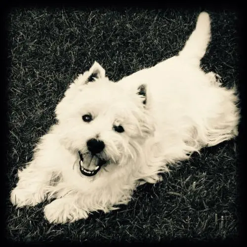 Image from Max