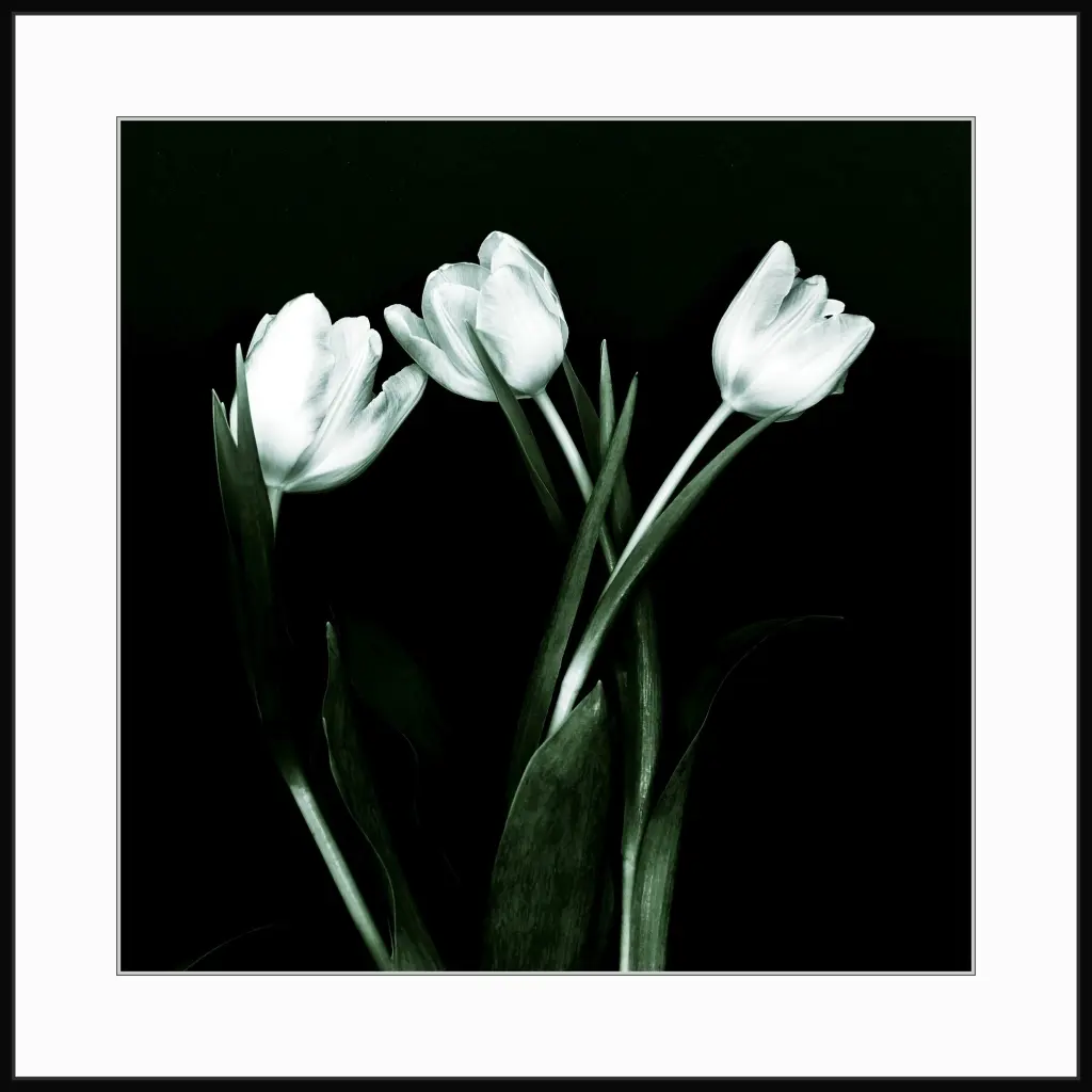 Condolence image of Bernhard