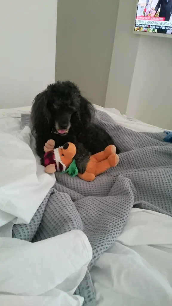Image from Timmy