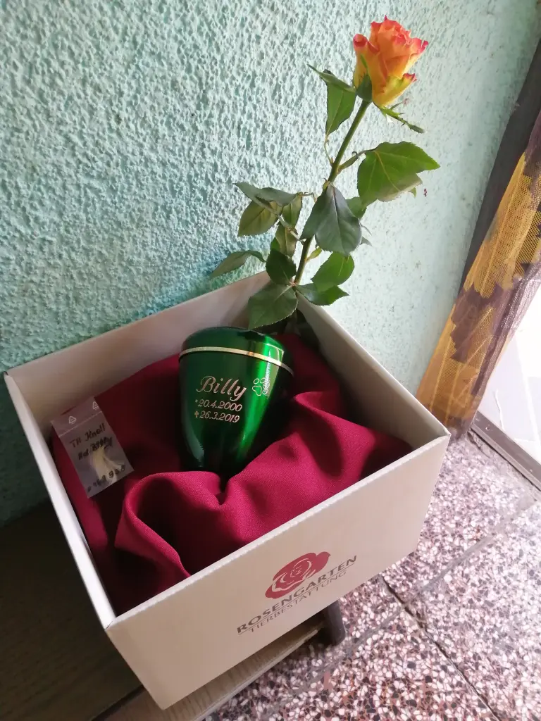 Image from Billy
