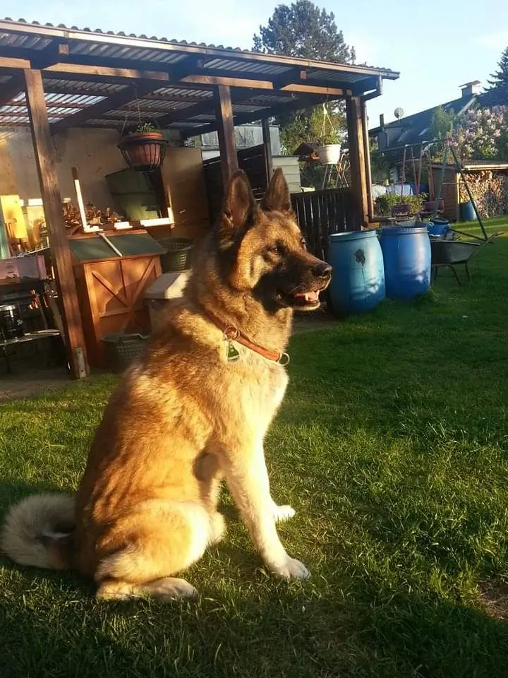 Condolence image of Nadine
