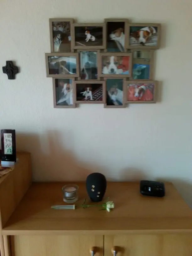 Image from Jacky