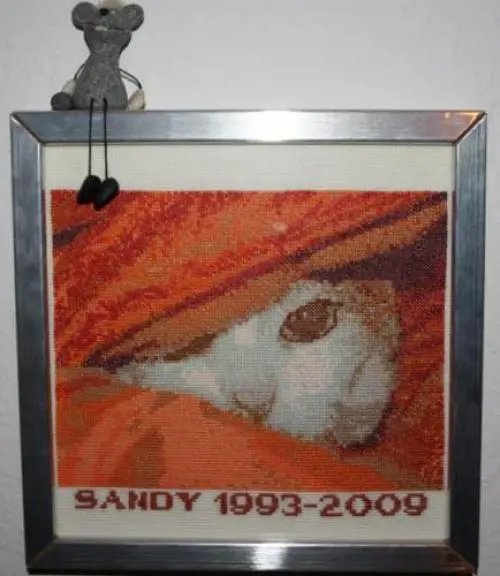 Image from Sandy