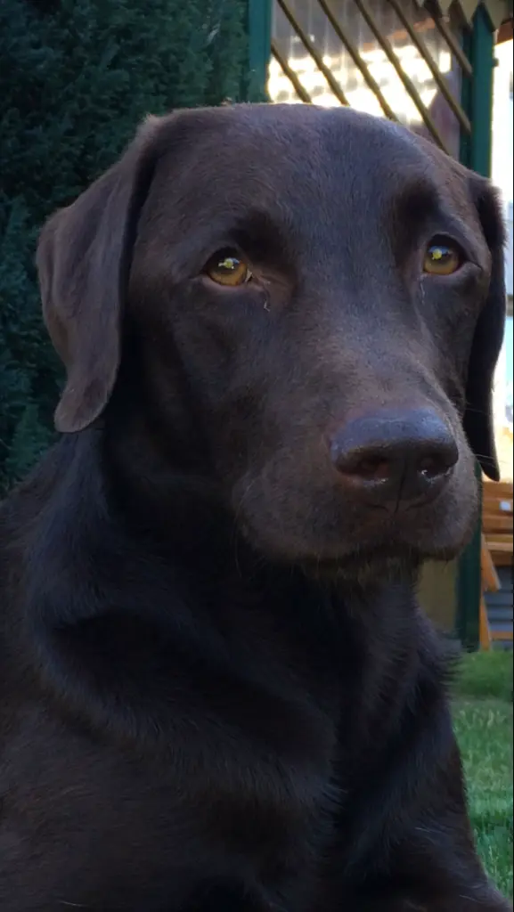 Image from Odin