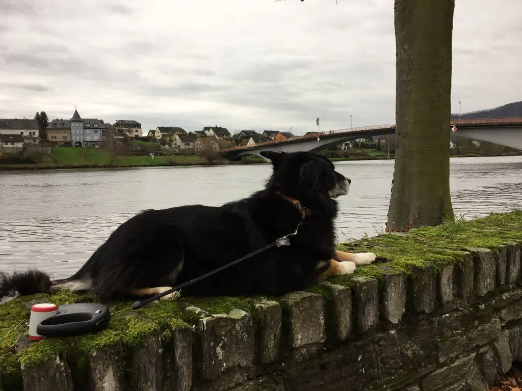 Image from Cloe