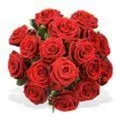 Condolence image of Uschi