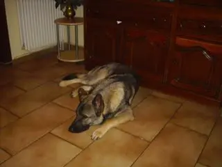 Condolence image of marietta  mit paplo