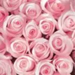 Condolence image of Anja mit Maja im ❤️