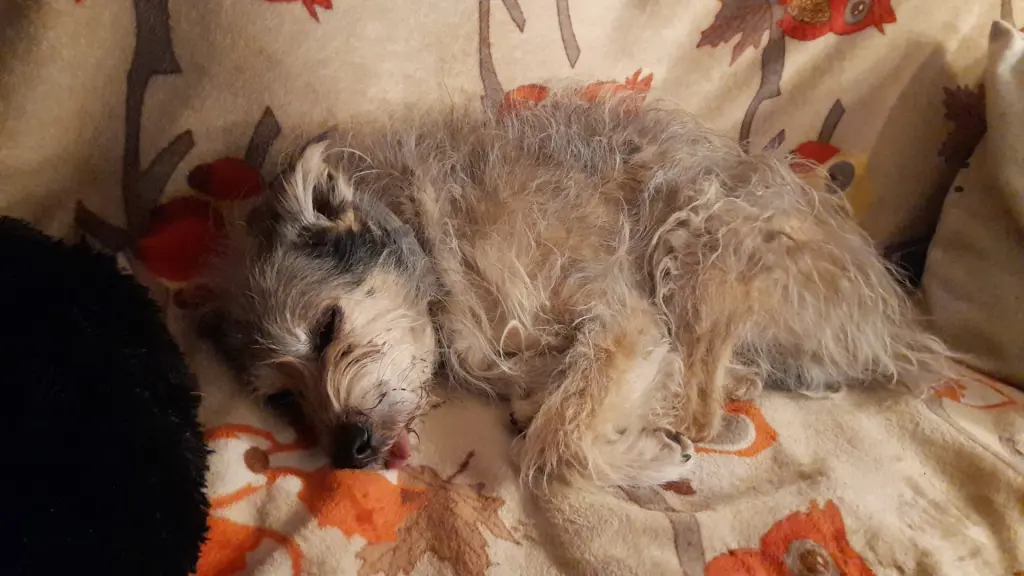Condolence image of Isolde