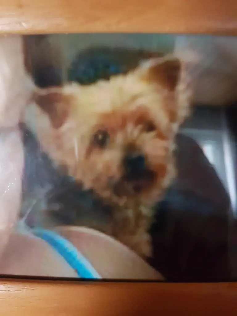 Condolence image of Rena