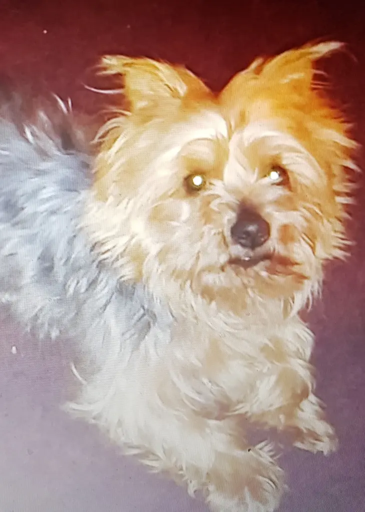 Condolence image of Rena