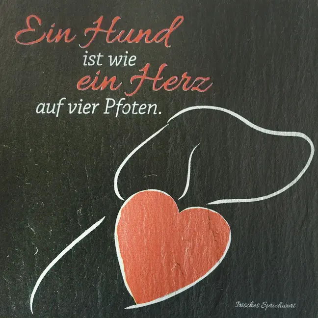 Condolence image of Michaela mit Nicko und Ariane ganz tief im ❤