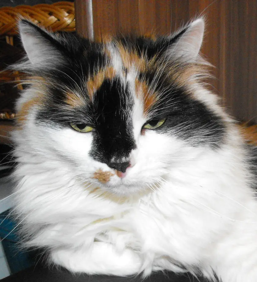 Image from Cherie