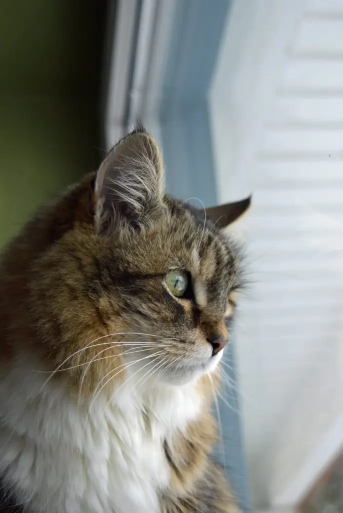 Condolence image of Nicole