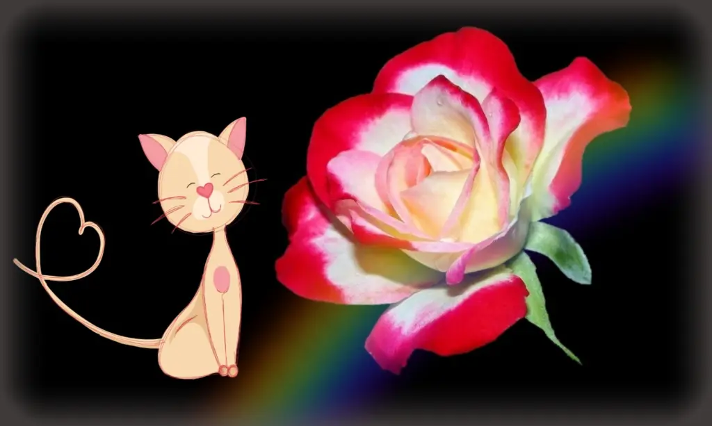 Condolence image of Jana